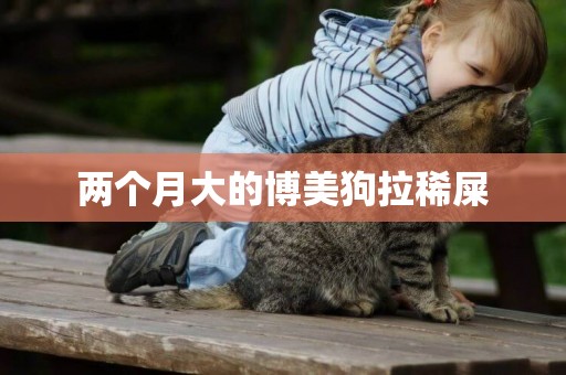 兩個月大的博美狗拉稀屎
