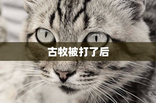 古牧被打了后