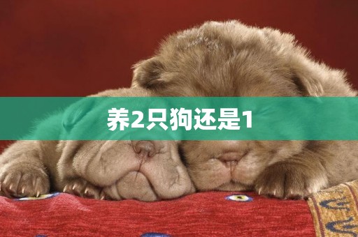 養2只狗還是1