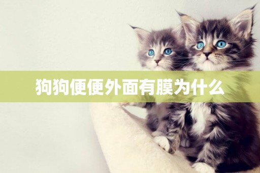 狗狗便便外面有膜為什么