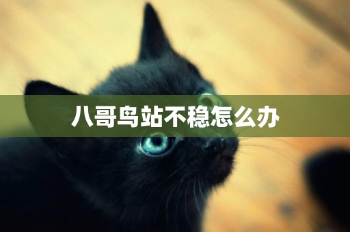 八哥鳥站不穩怎么辦