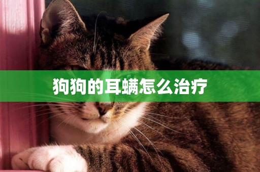 狗狗的耳螨怎么治療