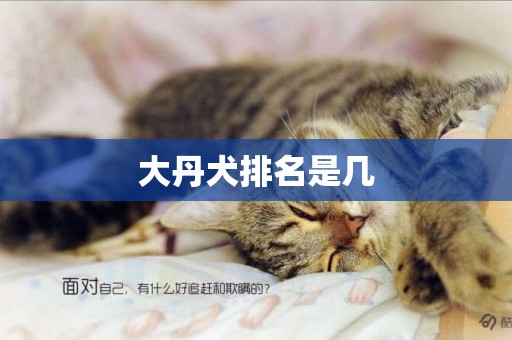 大丹犬排名是幾