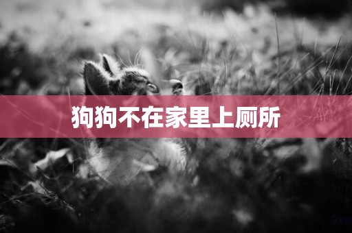 狗狗不在家里上廁所