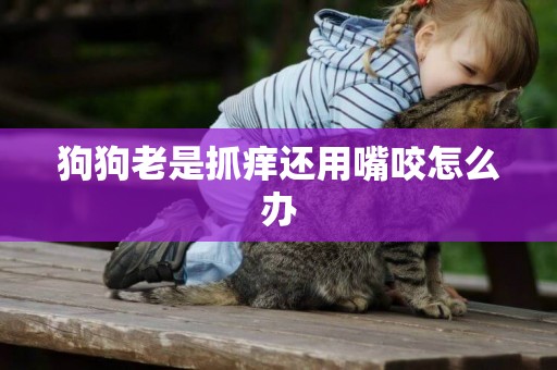 狗狗老是抓癢還用嘴咬怎么辦