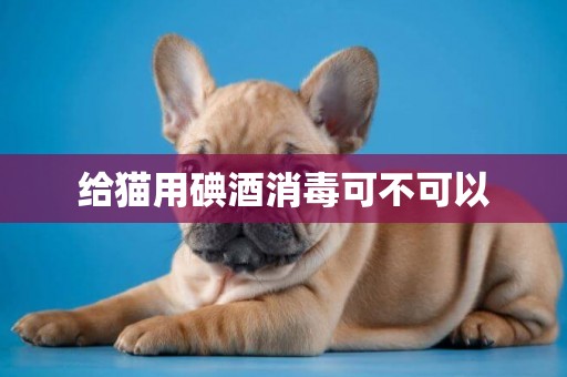給貓用碘酒消毒可不可以