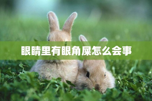 眼睛里有眼角屎怎么會事