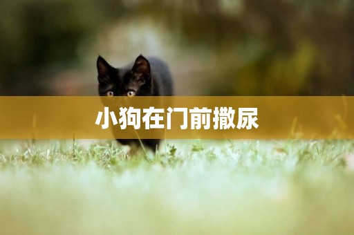 小狗在門前撒尿