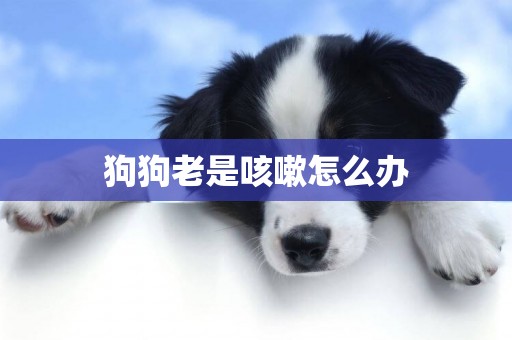 狗狗老是咳嗽怎么辦