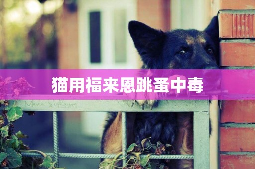 貓用福來恩跳蚤中毒