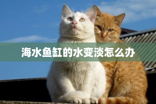 海水魚缸的水變淡怎么辦