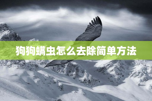 狗狗螨蟲怎么去除簡單方法