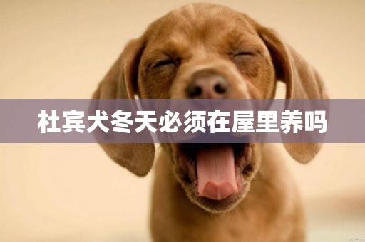 杜賓犬冬天必須在屋里養嗎
