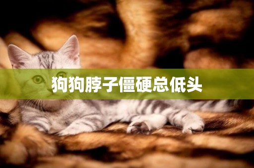 狗狗脖子僵硬總低頭
