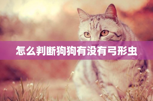 怎么判斷狗狗有沒有弓形蟲