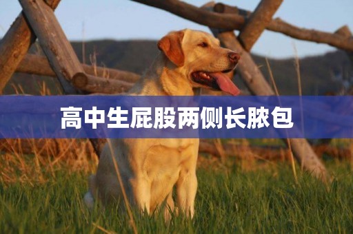 高中生屁股兩側長膿包