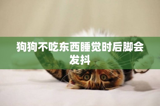 狗狗不吃東西睡覺時后腳會發抖