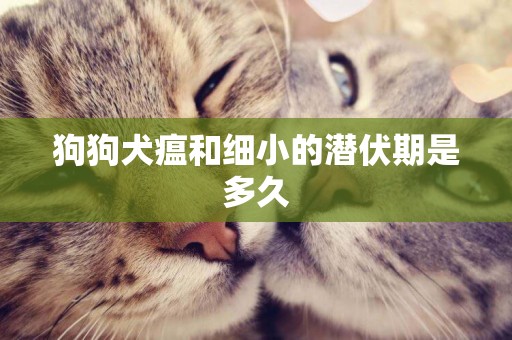 狗狗犬瘟和細小的潛伏期是多久