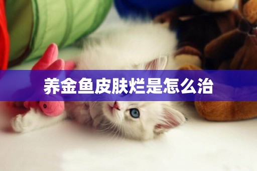 養金魚皮膚爛是怎么治