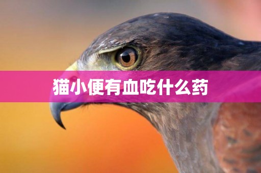 貓小便有血吃什么藥