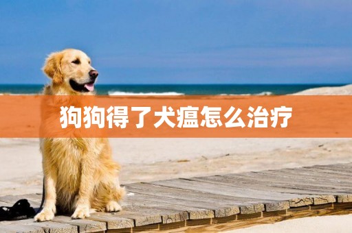 狗狗得了犬瘟怎么治療