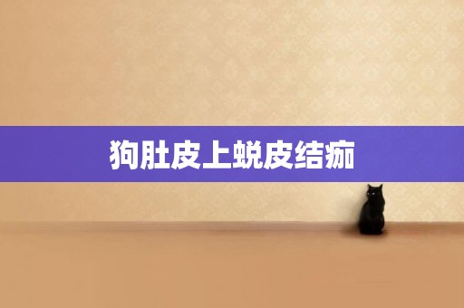 狗肚皮上蛻皮結痂