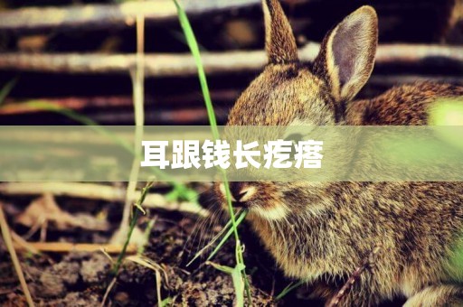 耳跟錢長疙瘩