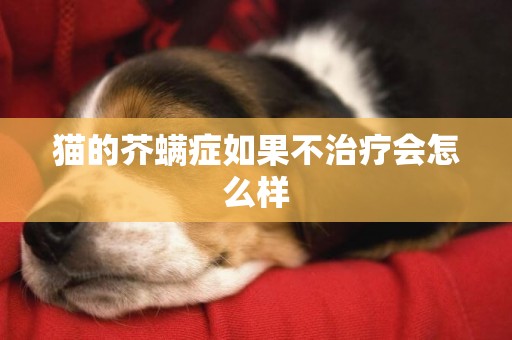 貓的芥螨癥如果不治療會怎么樣