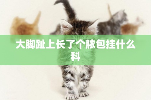 大腳趾上長了個膿包掛什么科