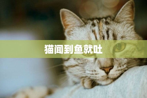 貓聞到魚就吐