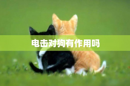 電擊對狗有作用嗎