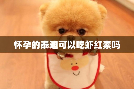 懷孕的泰迪可以吃蝦紅素嗎