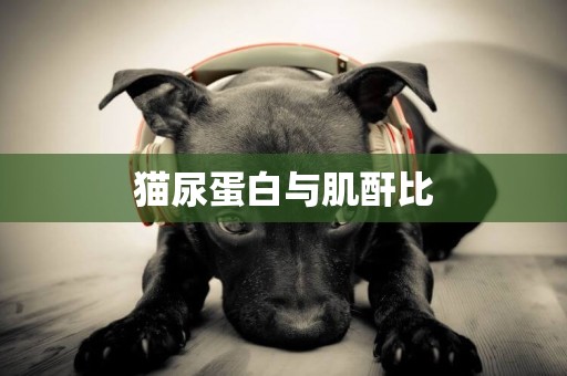 貓尿蛋白與肌酐比