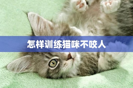 怎樣訓練貓咪不咬人