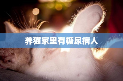 養貓家里有糖尿病人