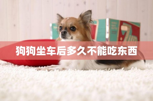 狗狗坐車后多久不能吃東西
