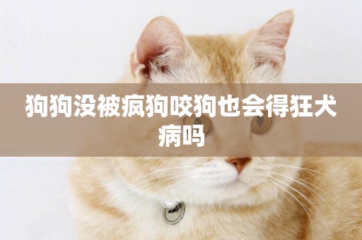 狗狗沒被瘋狗咬狗也會得狂犬病嗎