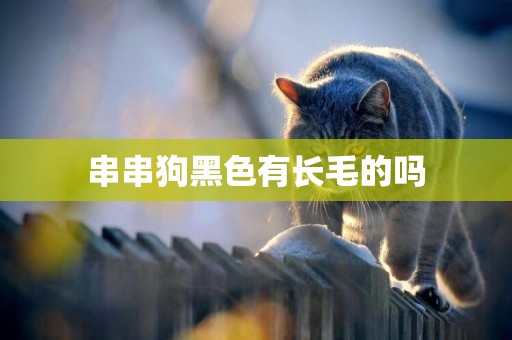 串串狗黑色有長毛的嗎