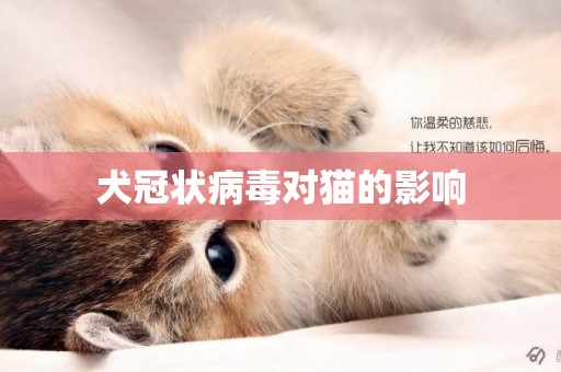 犬冠狀病毒對貓的影響