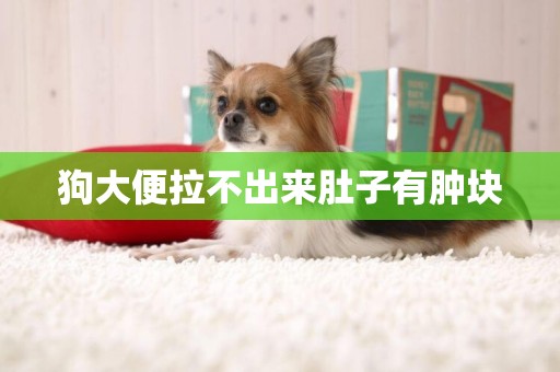 狗大便拉不出來肚子有腫塊