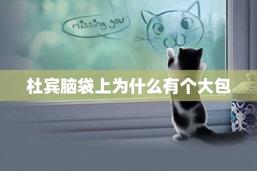 杜賓腦袋上為什么有個大包