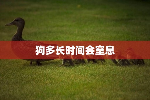 狗多長時間會窒息