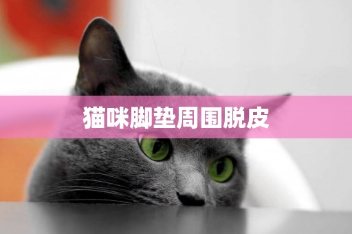 貓咪腳墊周圍脫皮