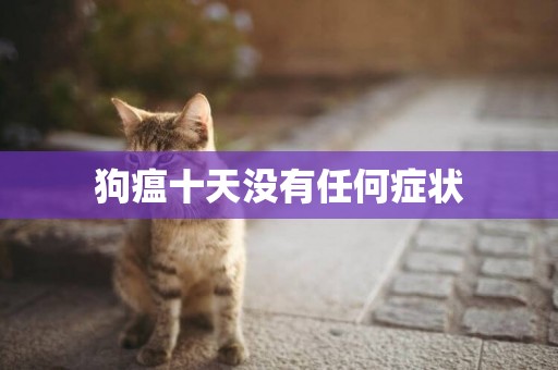 狗瘟十天沒有任何癥狀