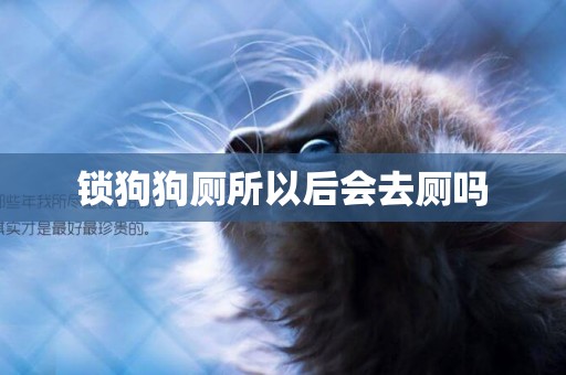 鎖狗狗廁所以后會去廁嗎