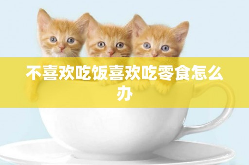 不喜歡吃飯喜歡吃零食怎么辦