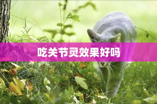 吃關節靈效果好嗎