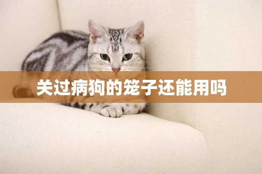 關過病狗的籠子還能用嗎