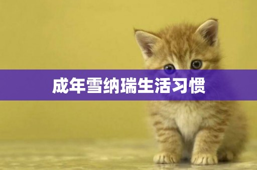 成年雪納瑞生活習慣