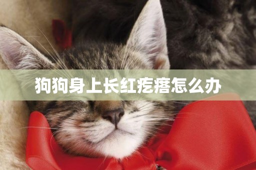狗狗身上長紅疙瘩怎么辦